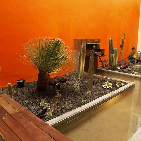 Coyoacán - Inn  Mexico Extérieur photo