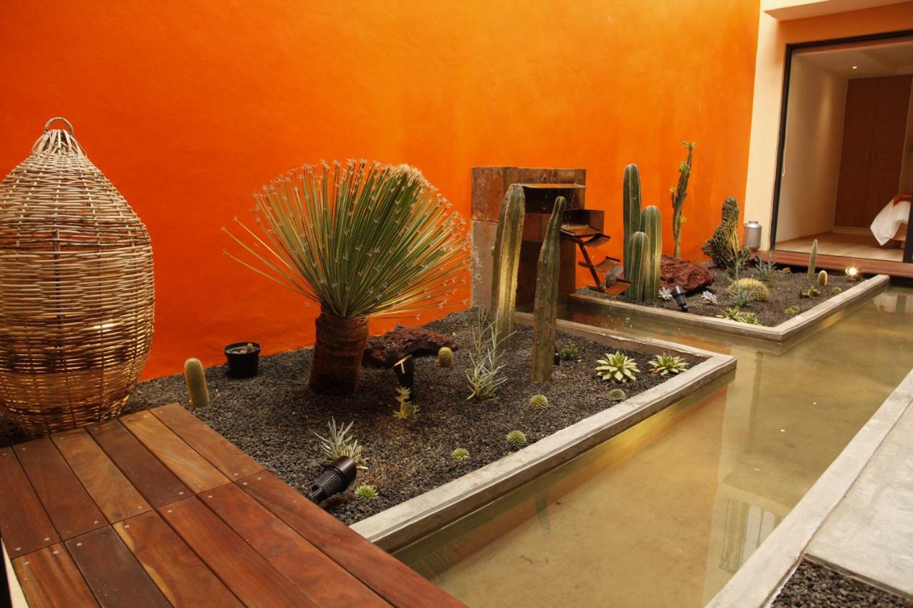 Coyoacán - Inn  Mexico Extérieur photo